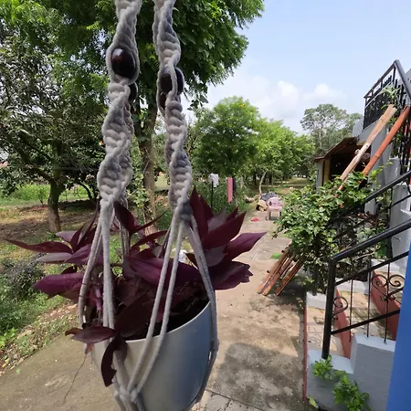 Bagicha Farmstay - Near Jolly Grant Airport Doiwala Exterior photo