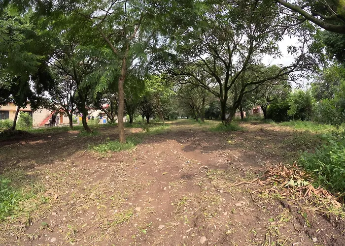 Bagicha Farmstay - Near Jolly Grant Airport