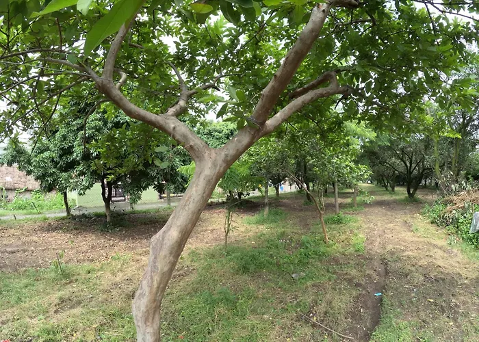 Bagicha Farmstay - Near Jolly Grant Airport