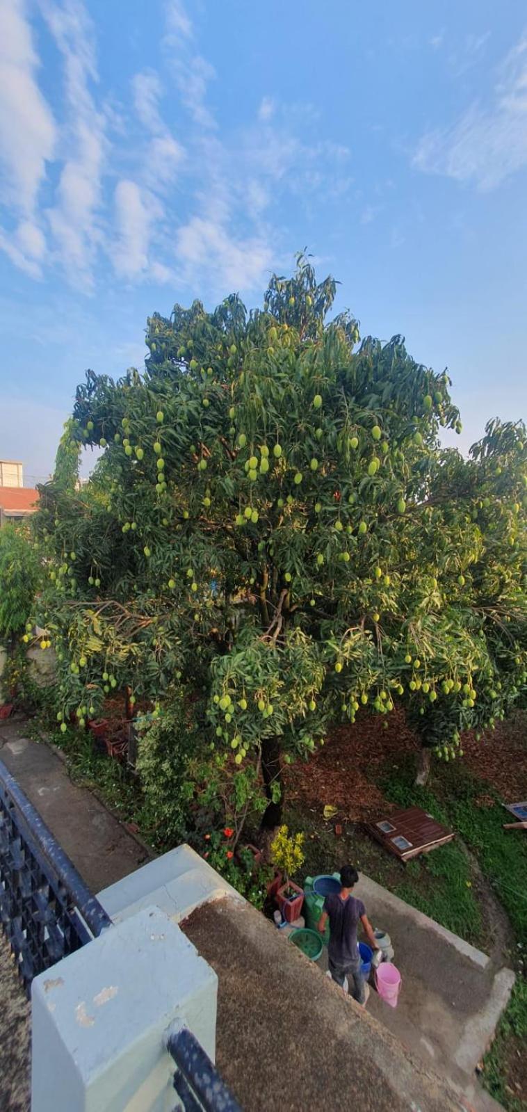 Bagicha - Near Jolly Grant Airport Doiwala