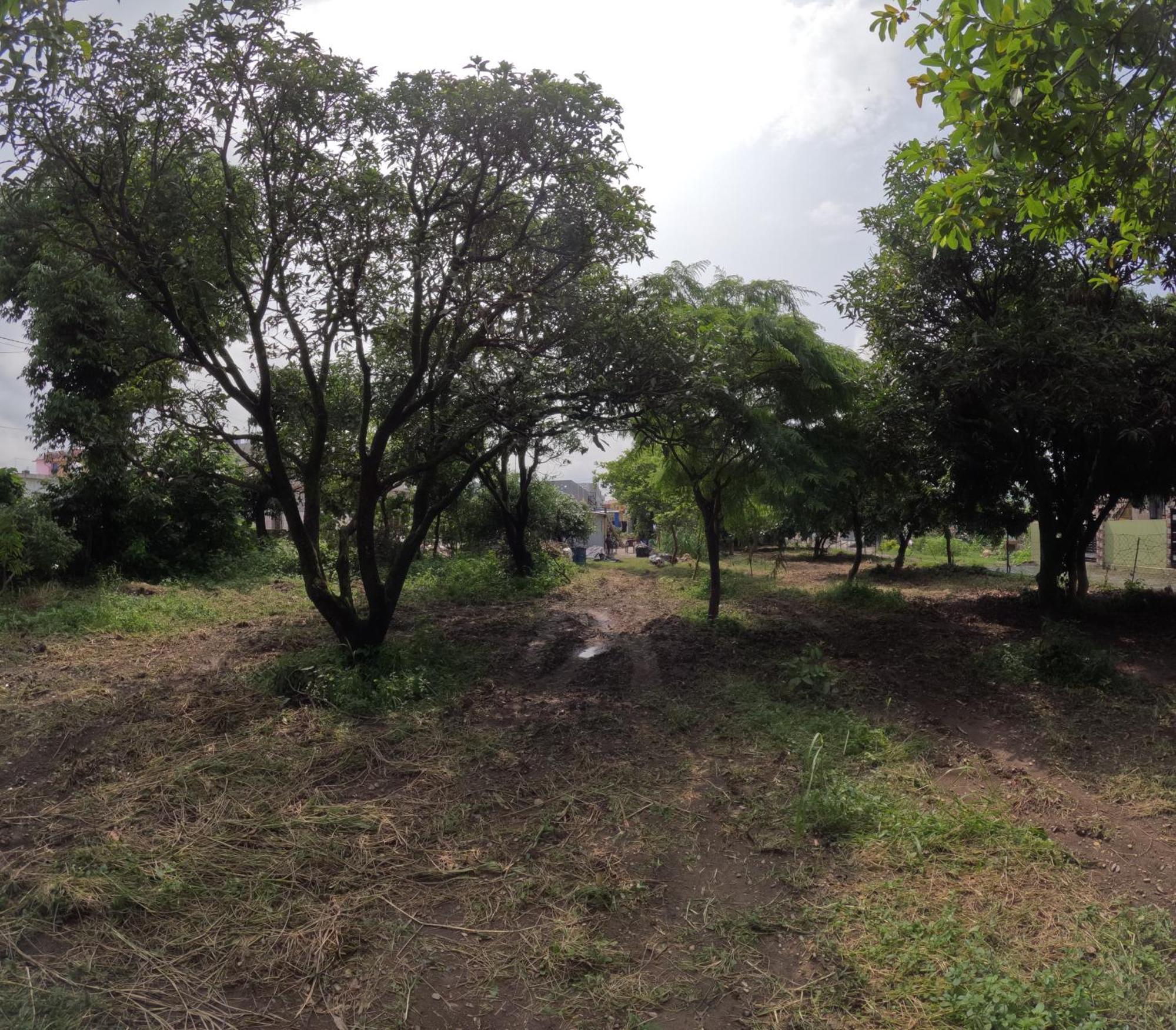 Bagicha - Near Jolly Grant Airport Holiday home *