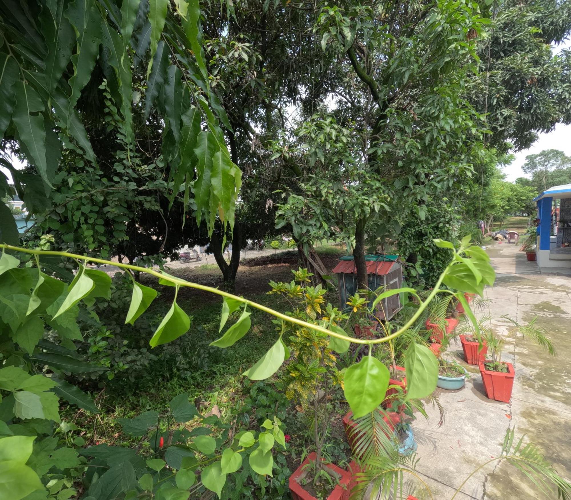 Holiday home Bagicha - Near Jolly Grant Airport