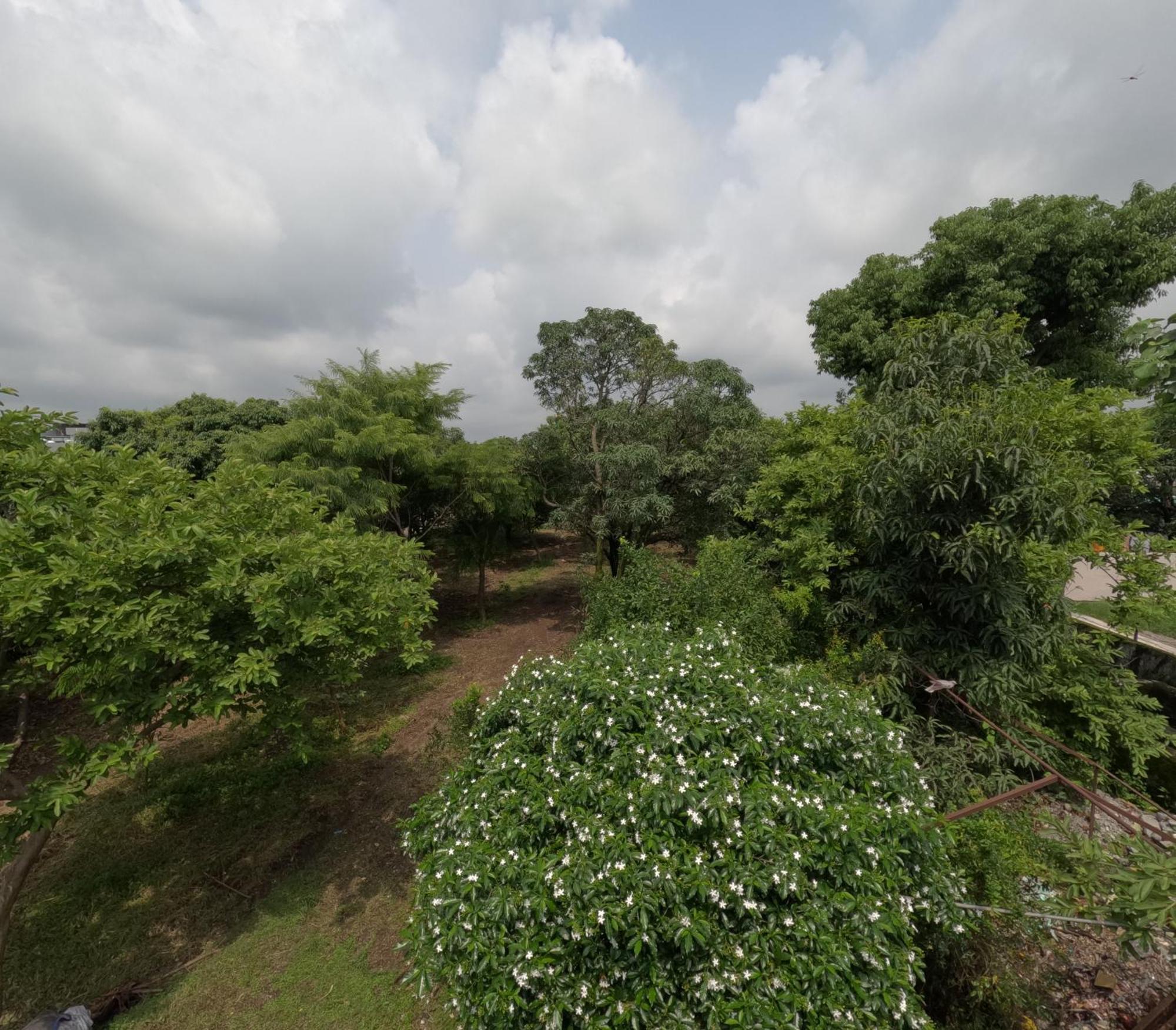 Bagicha - Near Jolly Grant Airport Doiwala